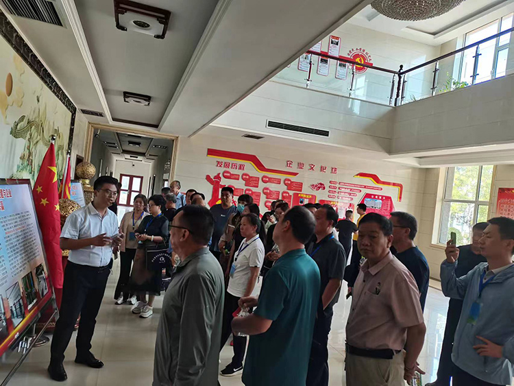 新澳门免费原料网大全